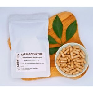 HARPAGOPHYTUM 400 gélules