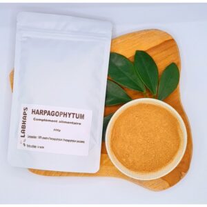 HARPAGOPHYTUM - POUDRE 500G