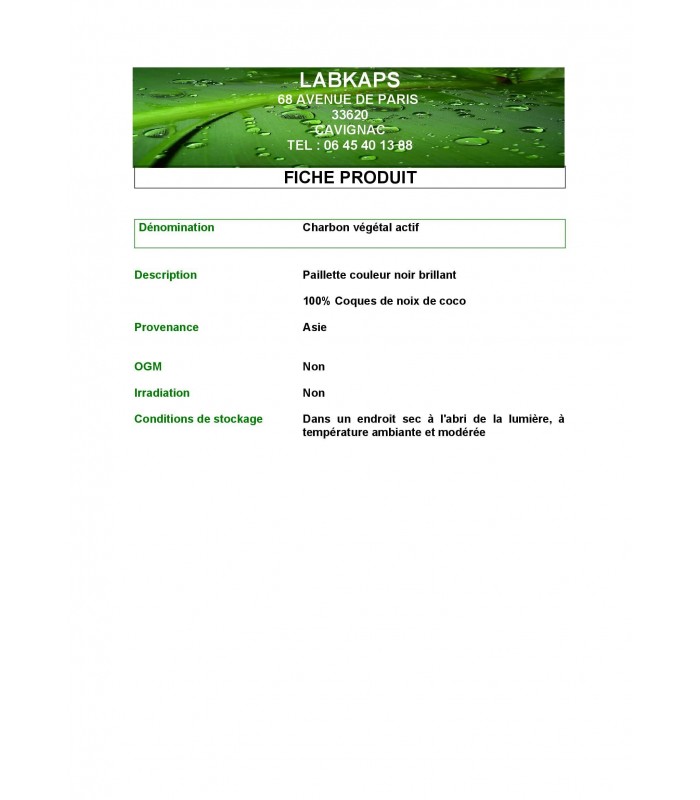 CHARBON VEGETAL ACTIVE 400 gélules